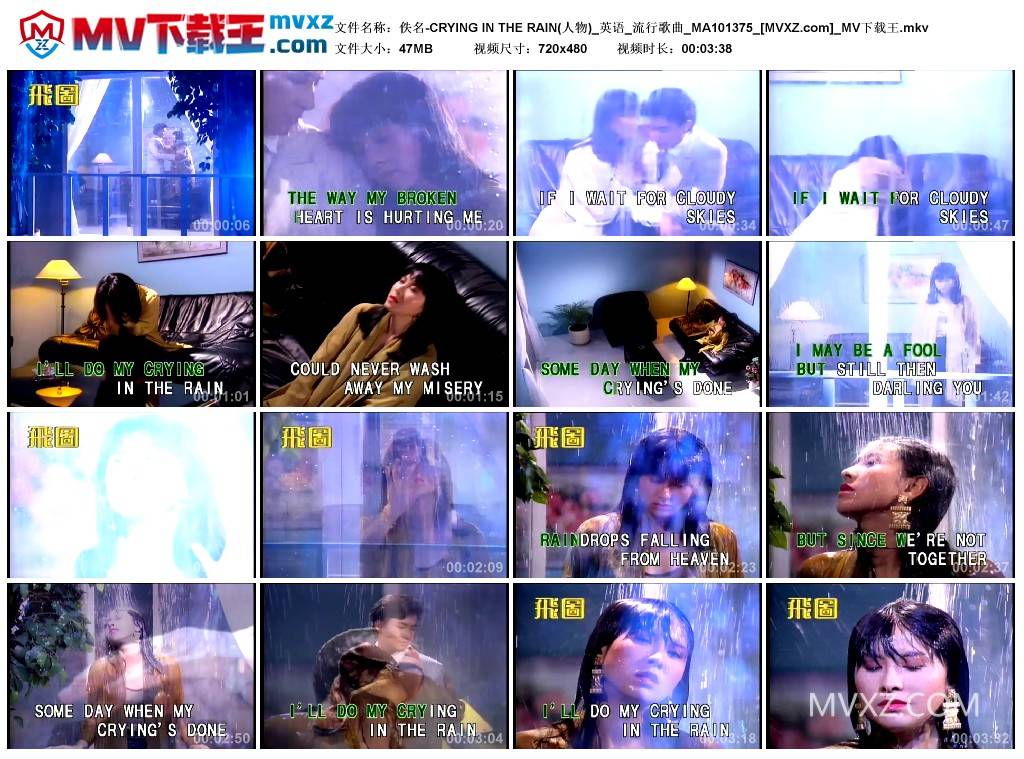 佚名-CRYING IN THE RAIN(人物)_英语_流行歌曲_MA101375